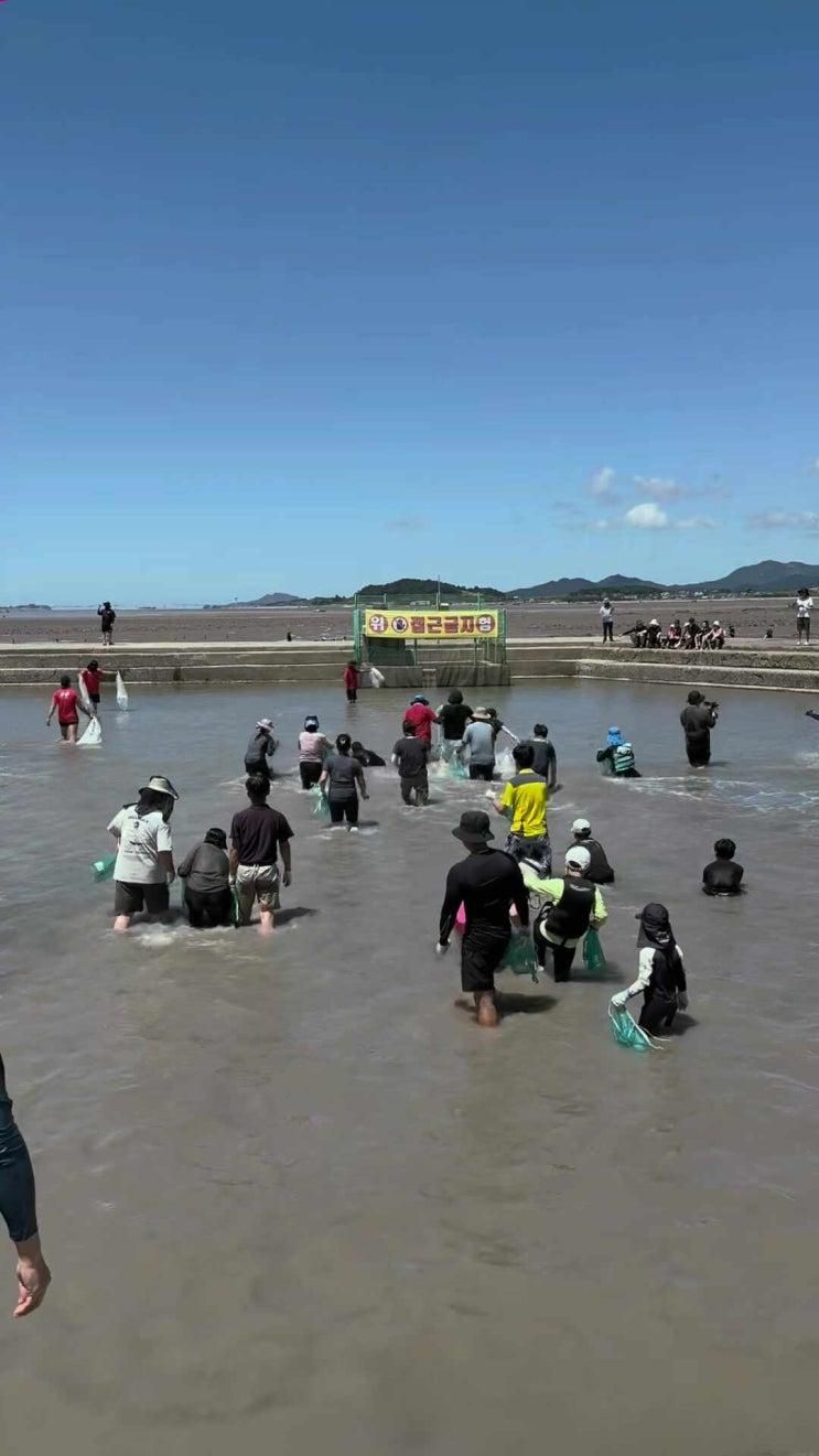 장어잡기 체험, 함평돌머리해수욕장, 여름휴가 가요!