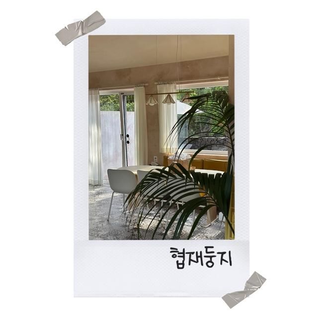 제주 서쪽 아기랑 숙소 협재둥지 가성비자쿠지숙소