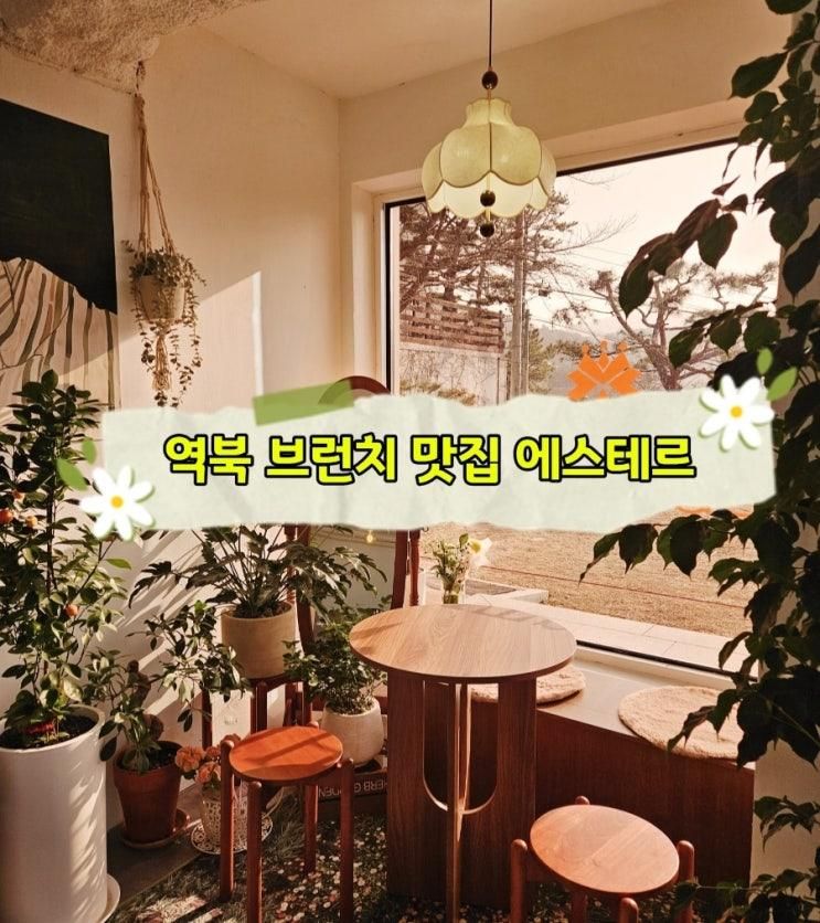용인 역북 브런치 카페 맛집 에스테르