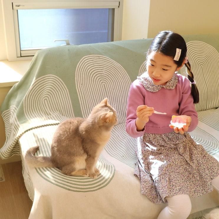 배곧놀거리 고양이주택