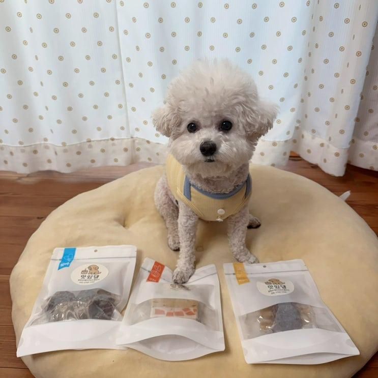 강아지홀케이크 수제간식 맛집... 전문점 및 원데이클래스 맛있댕!