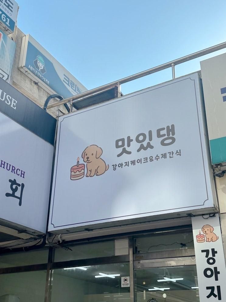 안산강아지케이크 맛있댕 찐후기
