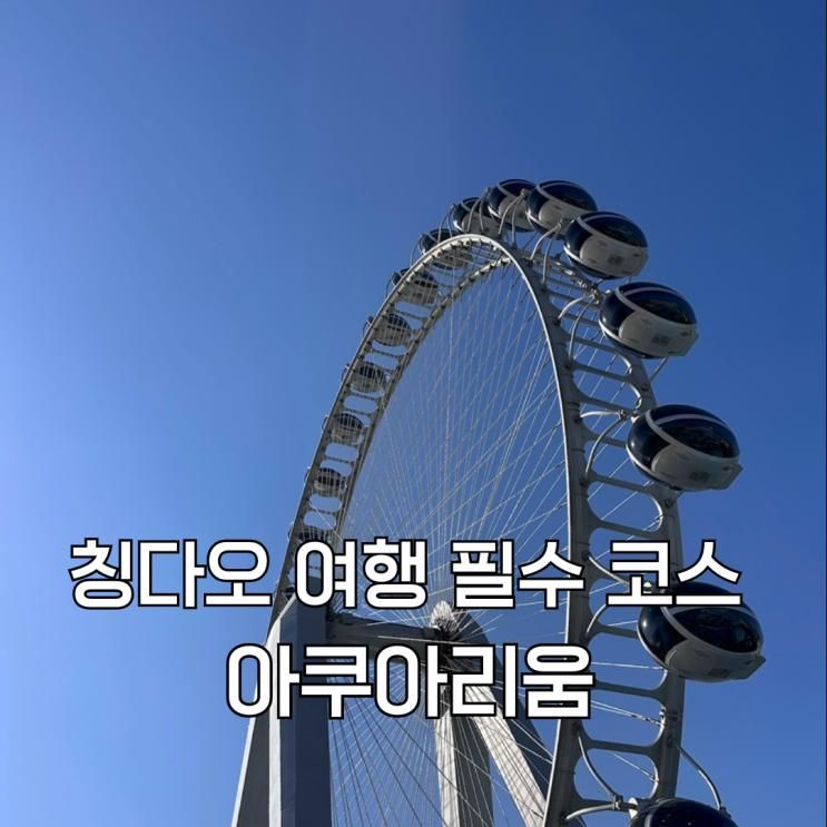 칭다오 자유여행 필수 코스 칭다오 극지해양세계 총정리... 