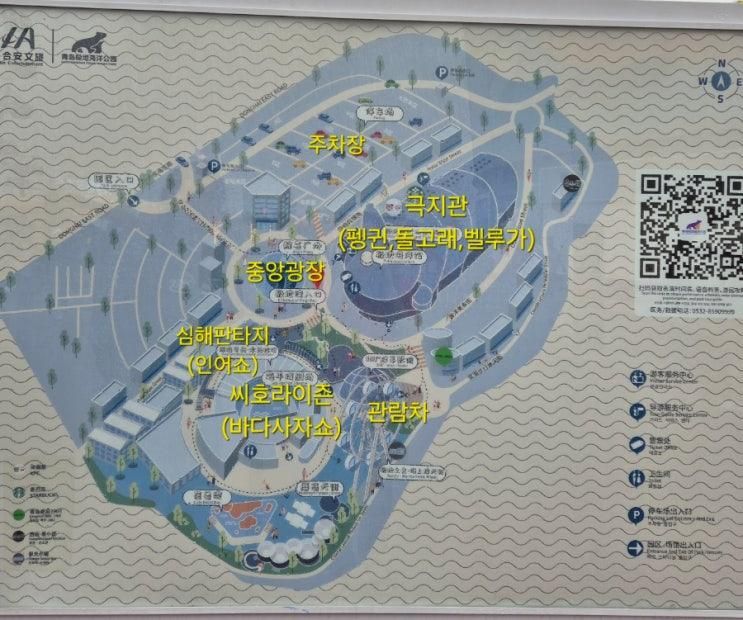 [중국 칭다오 여행] 대규모 아쿠아리움 극지해양세계 자세한... 