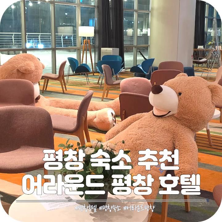 평창 휘닉스파크 숙소 호텔 추천 어라운드 평창 스위트룸... 