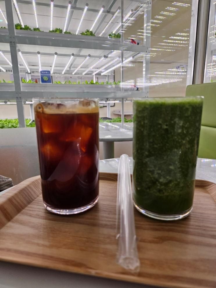 해피팜카페 마곡나루역 이색카페 맛있는 건강주스