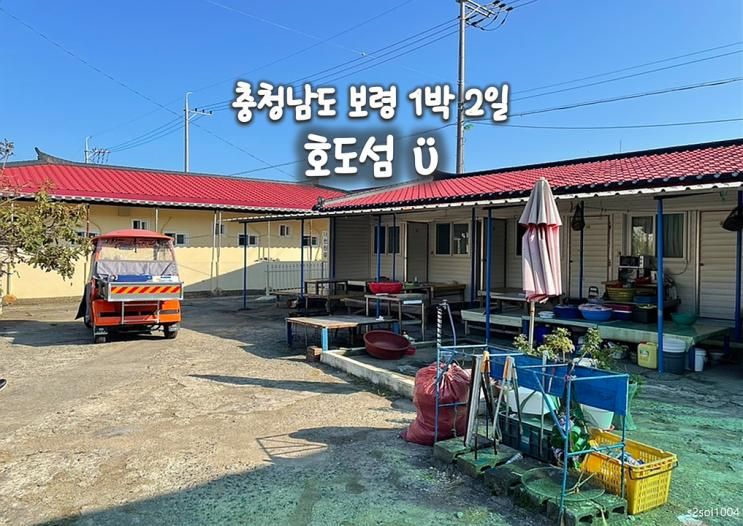 충남 보령 호도 1박 2일 여행... 섬 호도섬 민박 추천 대천민박... 