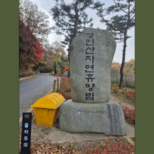 영인산 숲길 걷기 건강... 계곡학습지구 영인산 유아숲체험원... 