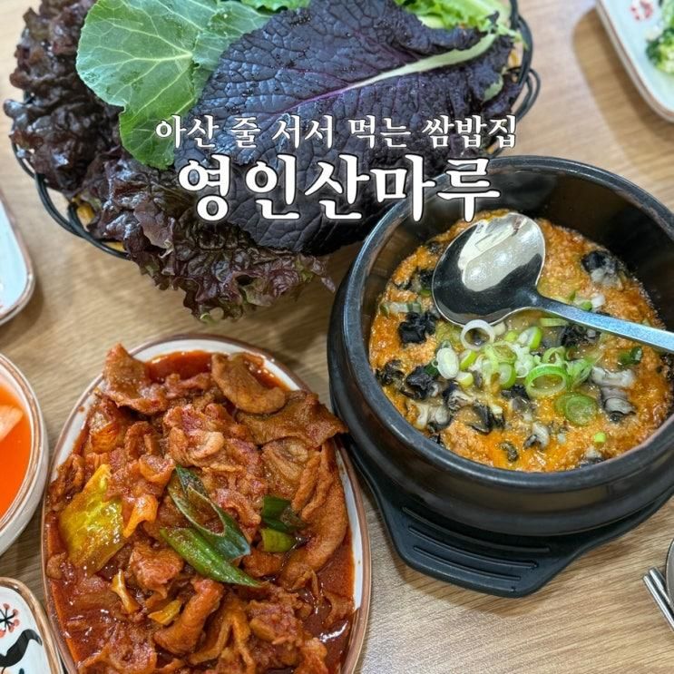 재방문 의사 100% 아산 우렁쌈밥 맛집 영인산마루 웨이팅 후기