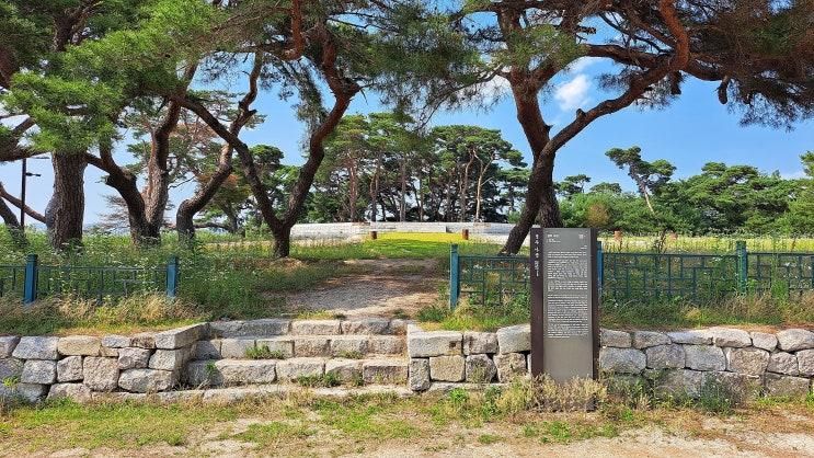 신라 건국의 전설이 시작된 곳, 경주 나정 아이와 역사 여행