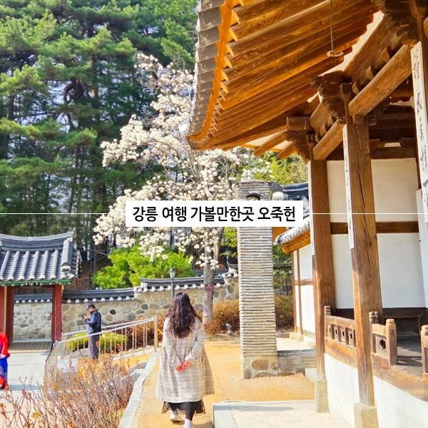 강릉 여행 가볼만한곳 오죽헌 한옥마을 화폐전시관 당일치기... 