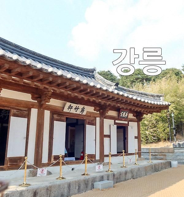강릉 여행 강릉 오죽헌 매화 강릉 체험 화폐전시관