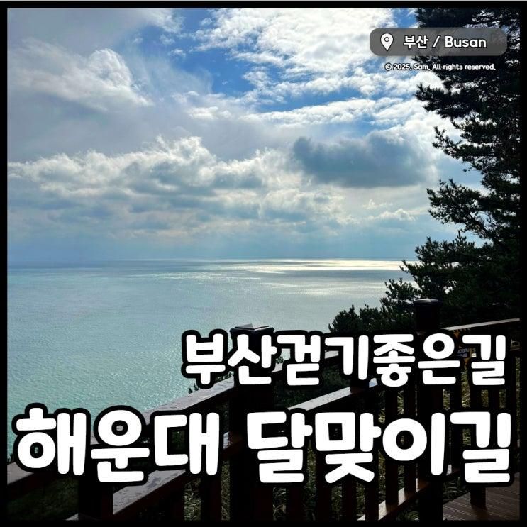 부산달맞이고개, 해월정 달맞이동산 오션뷰 산책코스