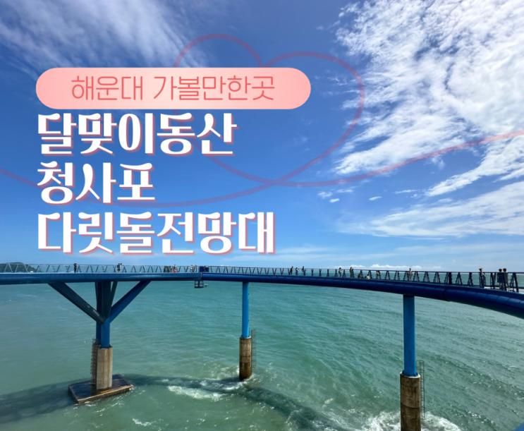 부산 가볼만한곳 해운대 달맞이동산 + 청사포 다릿돌 전망대... 