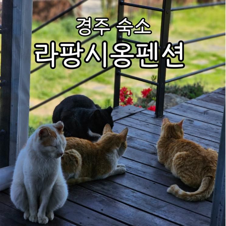 경주 라팡시옹 펜션 솔직후기 조식과 바비큐 커플 여행 숙소로... 