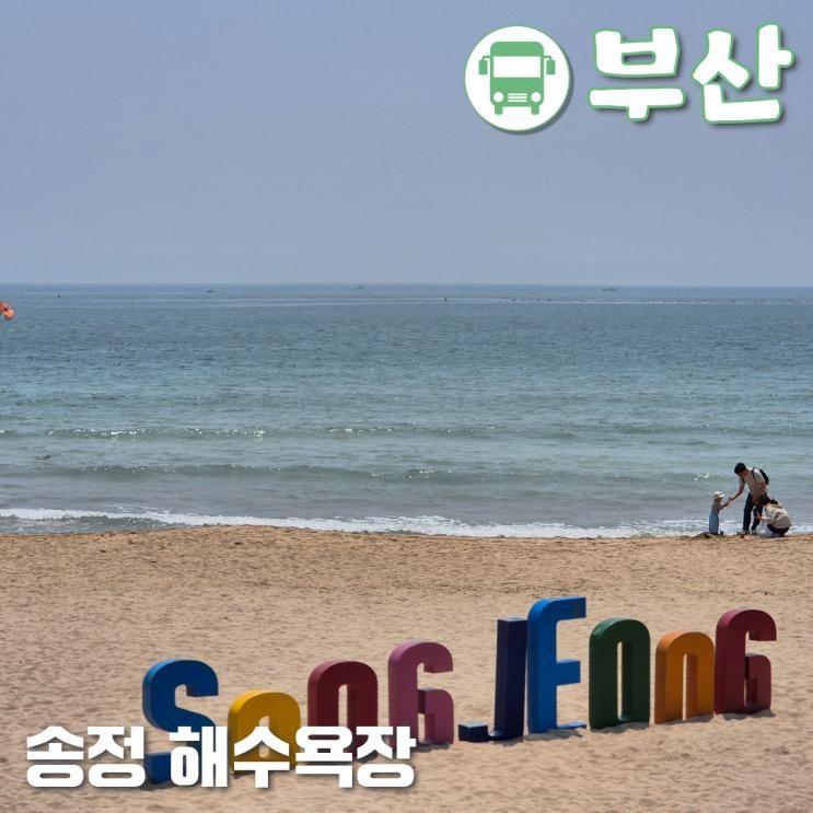 부산송정해수욕장 짜릿한 서핑의 성지