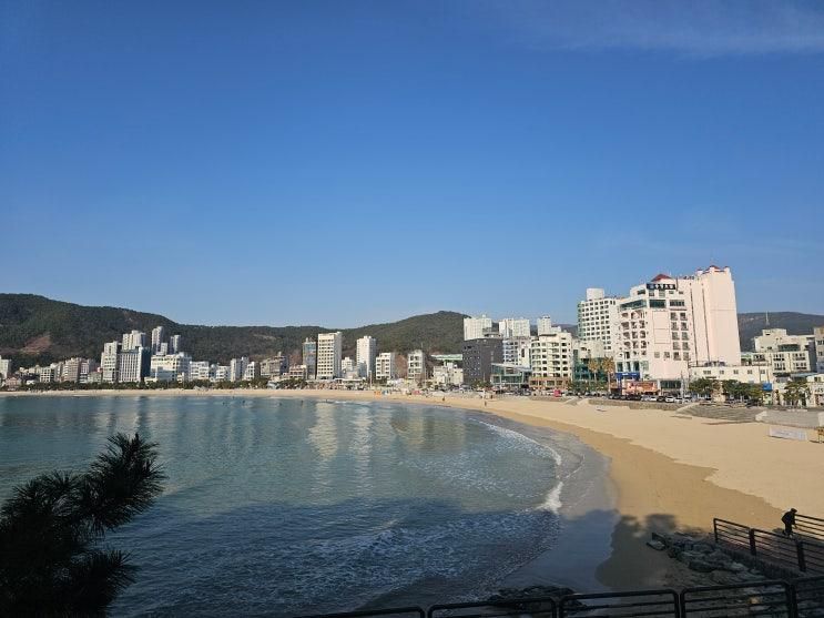 부산 송정 가볼만한곳 송정해수욕장 죽도공원