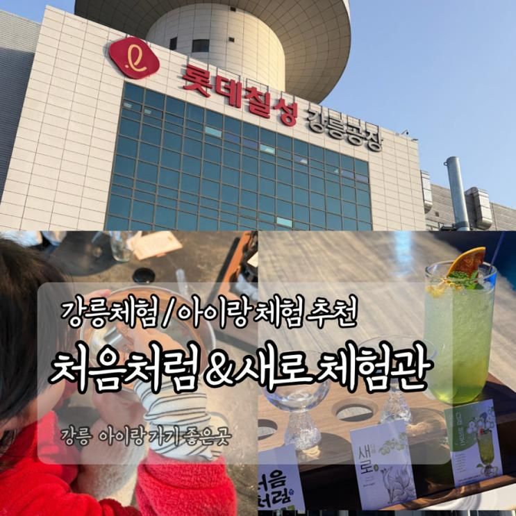 강릉체험 추천│처음처럼 새로 체험관 다녀온 후기 (아이랑... 