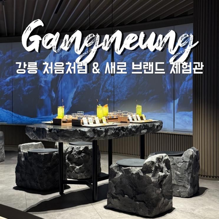 강릉 실내 가볼만한 곳 롯데 처음처럼 & 새로 브랜드 체험관