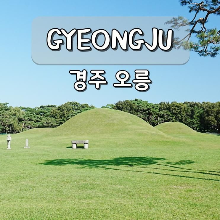 경주 오릉 입장료 경북 유적지 산책 가족 여행 가볼만한곳