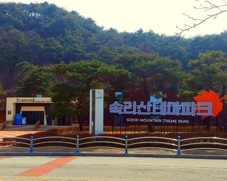 최근에 개장한 보은 소나무 미디어  숲 (속리산 테마파크)