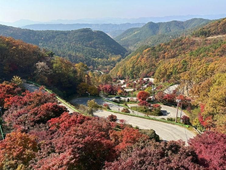 충북 보은 말티재전망대 단풍시기는 바로 지금부터 시작