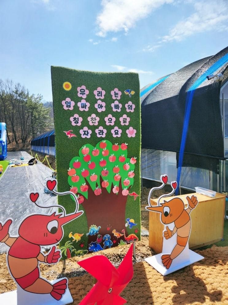 [대구 근교 아이와 가볼만한곳] 칠곡 새움길 생태체험학습장... 