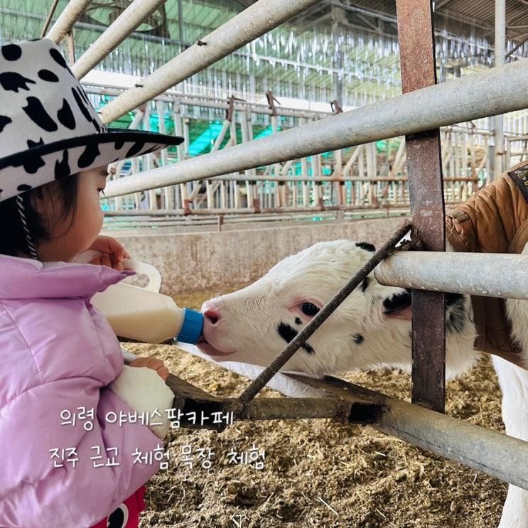 의령 야베스팜카페 _ 아이와가기좋는곳 진주 근교 체험 목장 체험