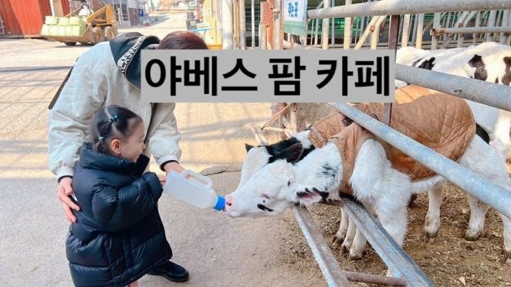 의령 야베스 팜 카페 | 송아지 우유주기 동물체험 가능한 진주... 