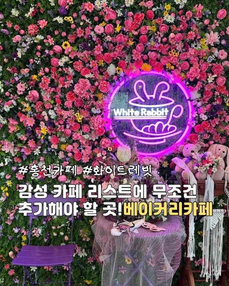 홍천 여행 코스 베이커리 카페 화이트레빗