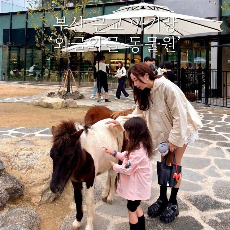 가볼만한곳] '와글와글 동물원'ㅣ부산근교 실내 동물원... 