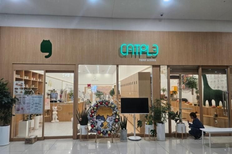 고양이 카페 + 일산 데이트 코스, 캣플헤븐 일산탄현점 다녀왔어요