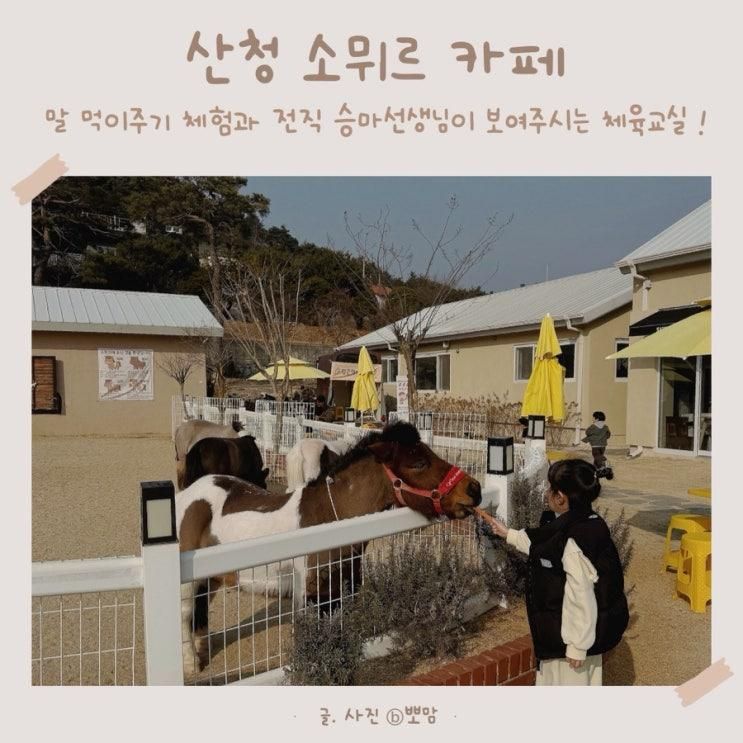 산청 소뮈르 카페 말먹이주기체험 아이랑가볼만한곳 추천 !