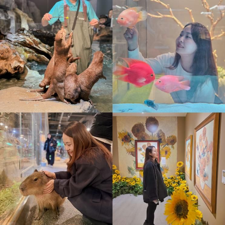 놀거리 신비동물원 흑백요리사 천상현 천상 가평멋집까지