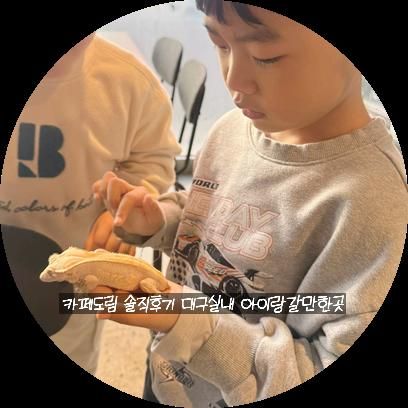 카페 도림 솔직 후기 대구... 아이랑 갈만한곳 희귀동물 체험 카페