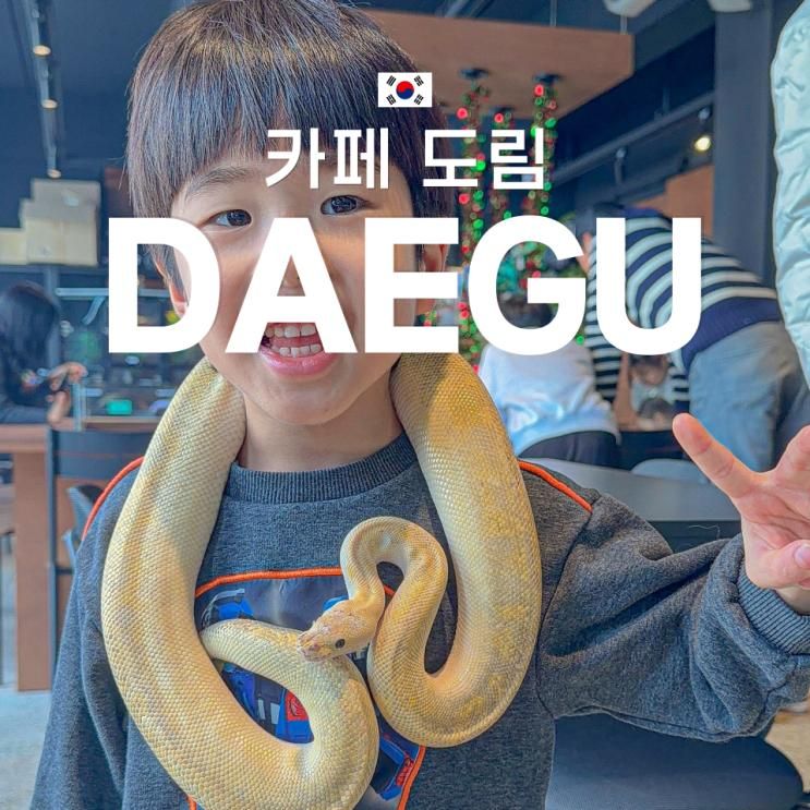 대구 이색체험카페 아이와 가기 좋은 실내 파충류 체험 카페 도림