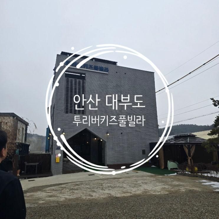 안산 대부도 단체 방4개 투리버키즈풀빌라