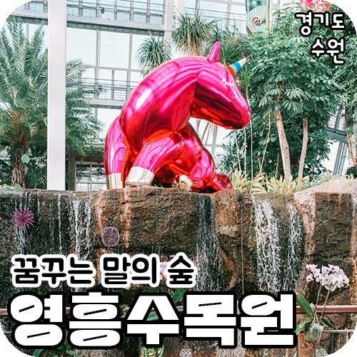 실내 온실 데이트 추천 영흥 수목원 / 수원 가볼만한곳