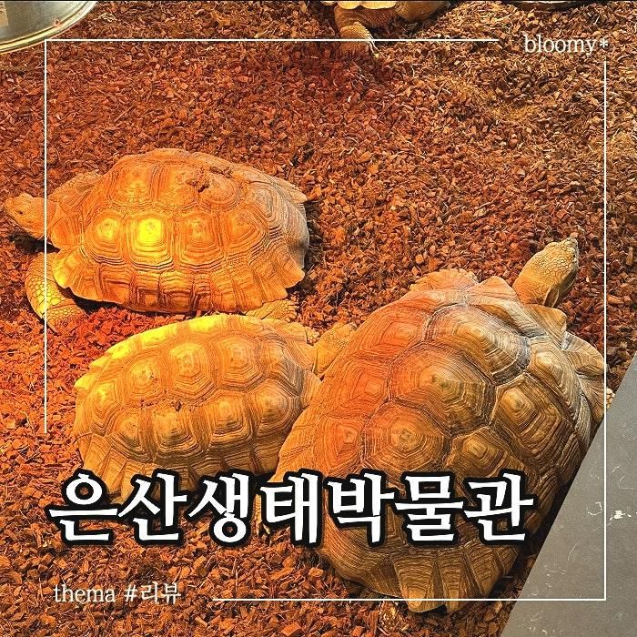 은산어울림생태박물관 오산 가볼만한 곳 양서류 파충류... 