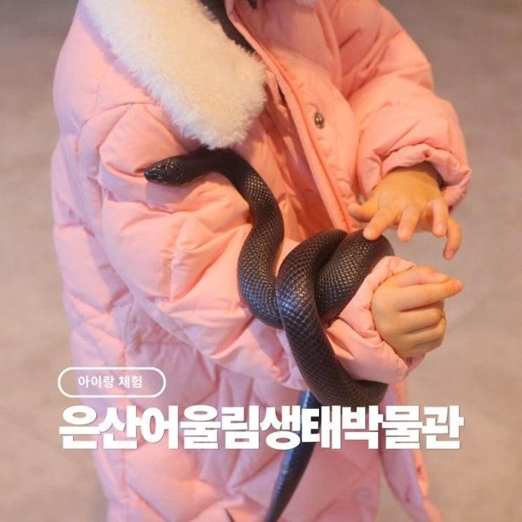 실내 체험 해설이 있는 파충류 생태체험 은산어울림생태박물관