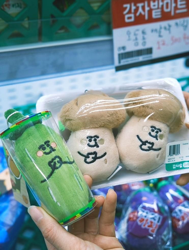 안국 가볍게 구경하기 좋은 카페 겸 소품샵 감자밭마켓 북촌점