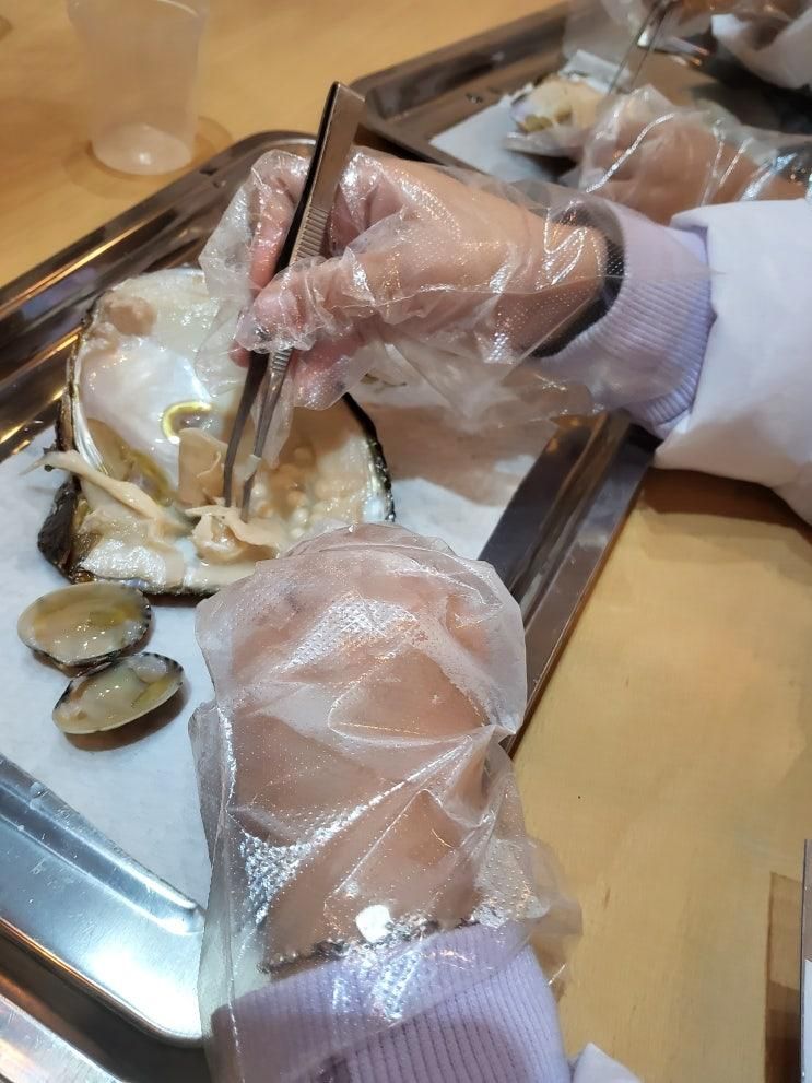 양산키즈카페 양산과학실험 "sts과학실험키즈카페" 진주조개... 