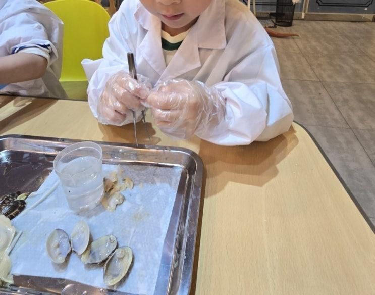 [놀러다니기]주말 아이랑 2년만에 STS 과학실험키즈카페... 