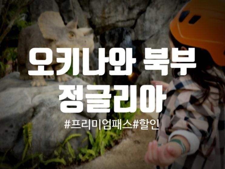 오키나와 정글리아 티켓 예약 할인 비교 아이랑 마감까지 즐긴... 