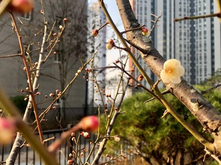 다산한강초등학교 부근 다산2동 아트앤하트 미술 홈스쿨을... 