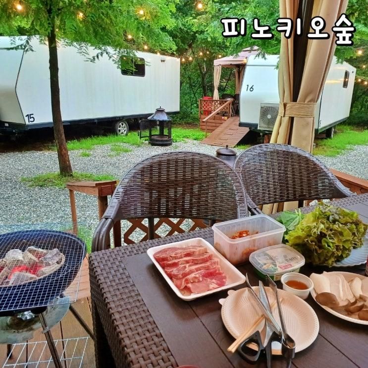강원도 원주 여행 피노키오숲 카라반 한옥숲카페 덕산원