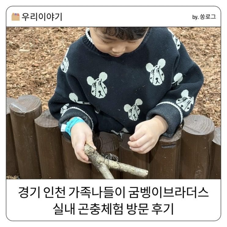 경기 인천 가족나들이 굼벵이브라더스 실내 곤충체험 방문 후기