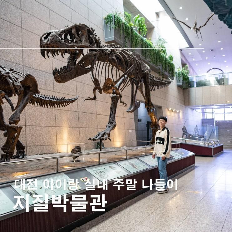 대전 지질박물관 실내 무료 주말 나들이 갈만한 곳