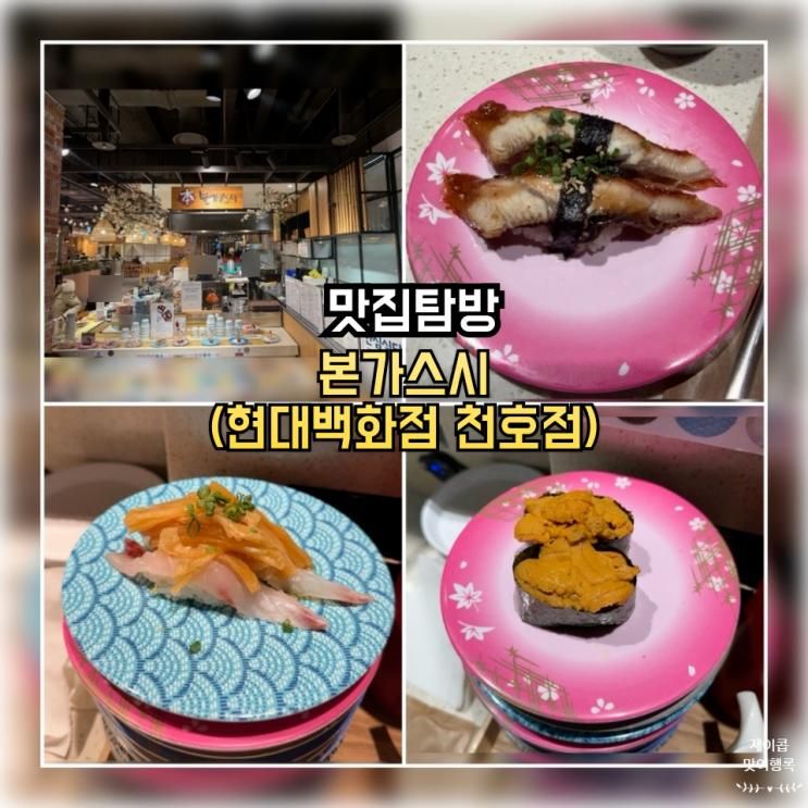 천호 현대백화점 본가스시 회전초밥 후기  천호역 초밥 맛집