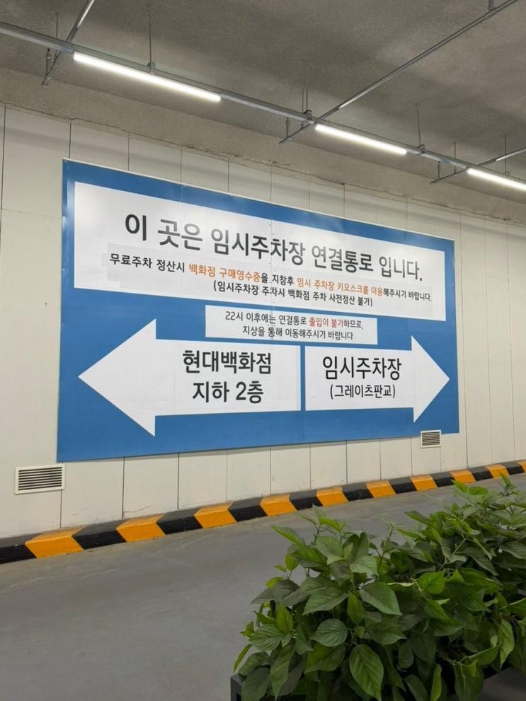 판교 현대백화점 무료주차 꿀팁, 그레이츠판교 베즐리 할인 후기